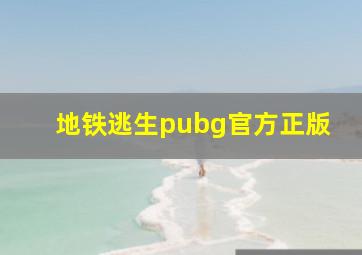 地铁逃生pubg官方正版