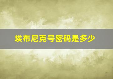 埃布尼克号密码是多少