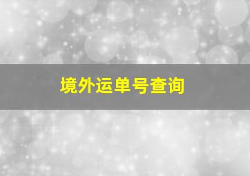 境外运单号查询