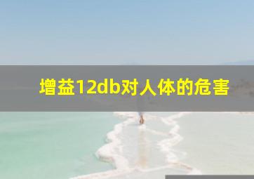 增益12db对人体的危害