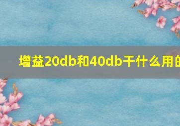 增益20db和40db干什么用的