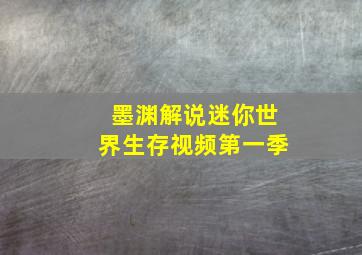 墨渊解说迷你世界生存视频第一季