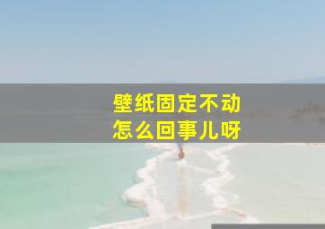 壁纸固定不动怎么回事儿呀