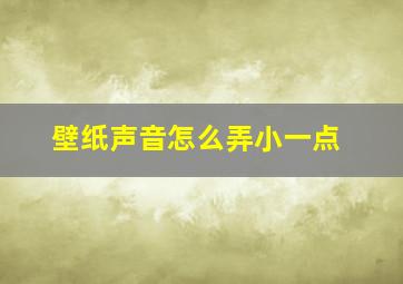 壁纸声音怎么弄小一点