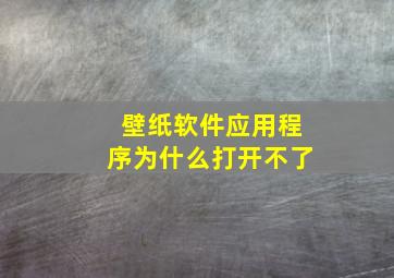 壁纸软件应用程序为什么打开不了