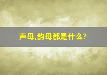 声母,韵母都是什么?