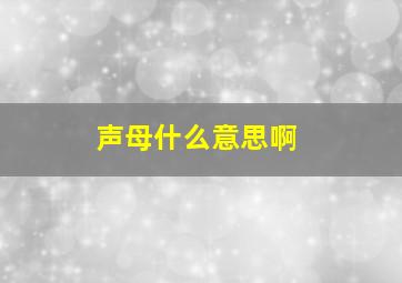 声母什么意思啊