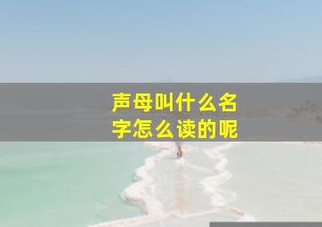 声母叫什么名字怎么读的呢