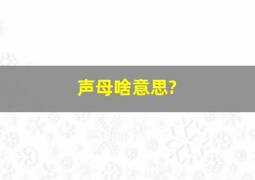 声母啥意思?