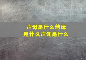 声母是什么韵母是什么声调是什么