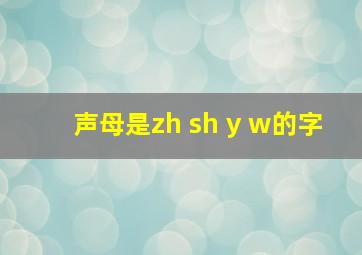 声母是zh sh y w的字