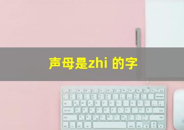 声母是zhi 的字