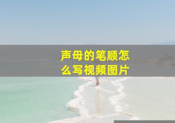 声母的笔顺怎么写视频图片