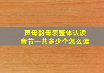 声母韵母表整体认读音节一共多少个怎么读