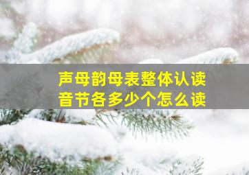 声母韵母表整体认读音节各多少个怎么读