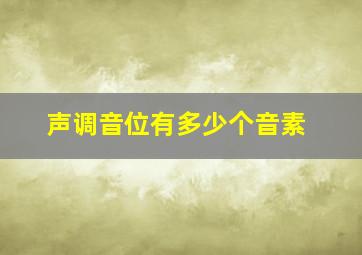 声调音位有多少个音素