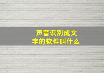 声音识别成文字的软件叫什么