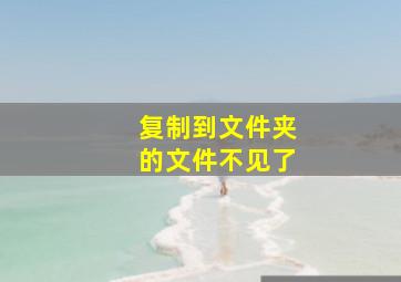 复制到文件夹的文件不见了