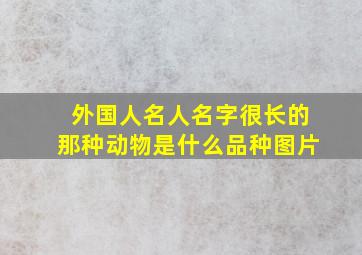 外国人名人名字很长的那种动物是什么品种图片