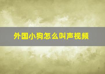 外国小狗怎么叫声视频