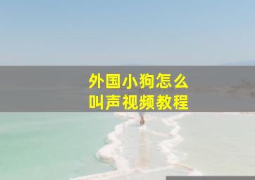 外国小狗怎么叫声视频教程