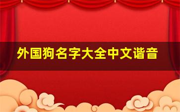 外国狗名字大全中文谐音