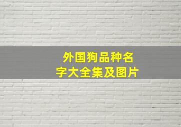 外国狗品种名字大全集及图片