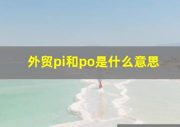 外贸pi和po是什么意思