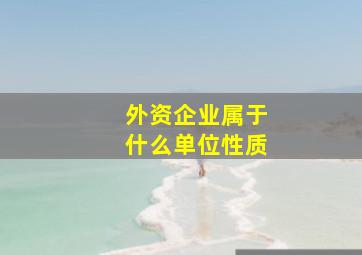 外资企业属于什么单位性质