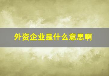 外资企业是什么意思啊