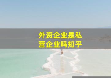 外资企业是私营企业吗知乎