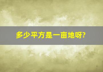 多少平方是一亩地呀?