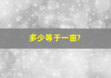 多少等于一亩?