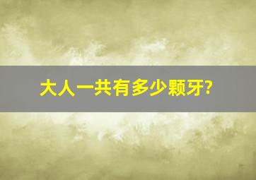 大人一共有多少颗牙?