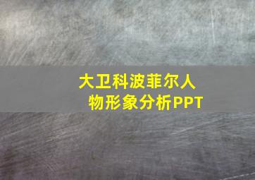 大卫科波菲尔人物形象分析PPT