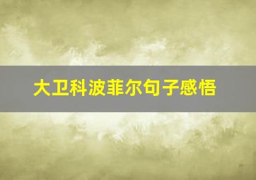 大卫科波菲尔句子感悟