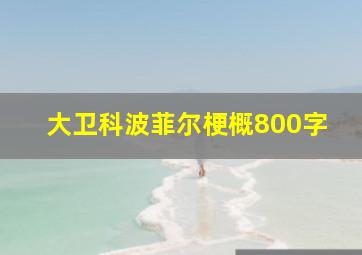 大卫科波菲尔梗概800字