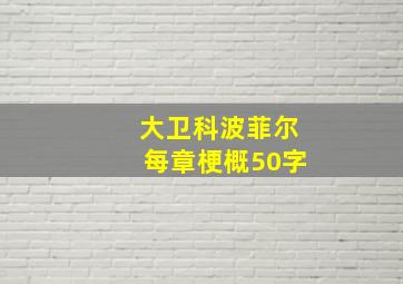 大卫科波菲尔每章梗概50字