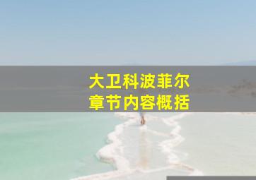 大卫科波菲尔章节内容概括