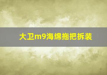 大卫m9海绵拖把拆装