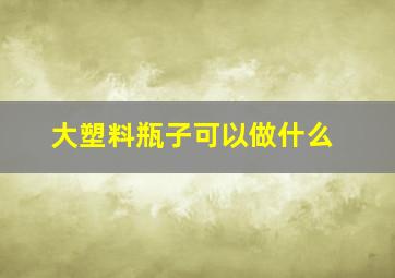 大塑料瓶子可以做什么