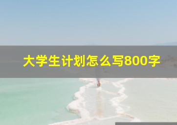 大学生计划怎么写800字