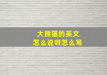 大熊猫的英文怎么说呀怎么写