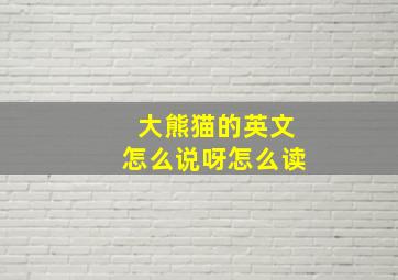 大熊猫的英文怎么说呀怎么读