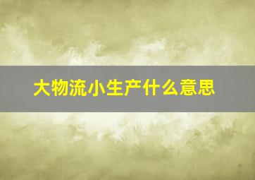 大物流小生产什么意思