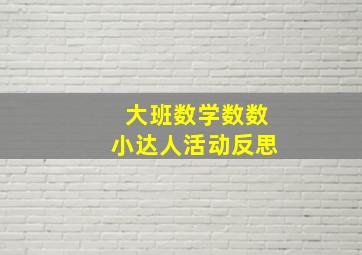 大班数学数数小达人活动反思