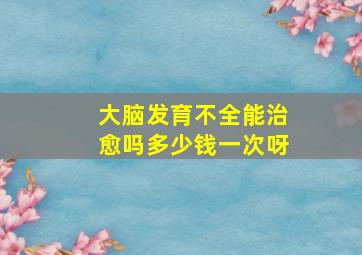 大脑发育不全能治愈吗多少钱一次呀