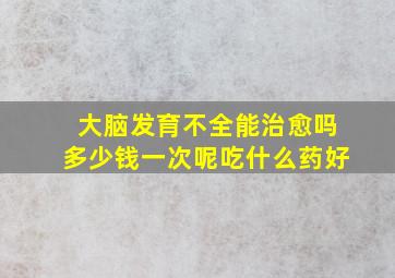 大脑发育不全能治愈吗多少钱一次呢吃什么药好