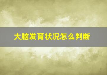 大脑发育状况怎么判断