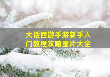 大话西游手游新手入门教程攻略图片大全